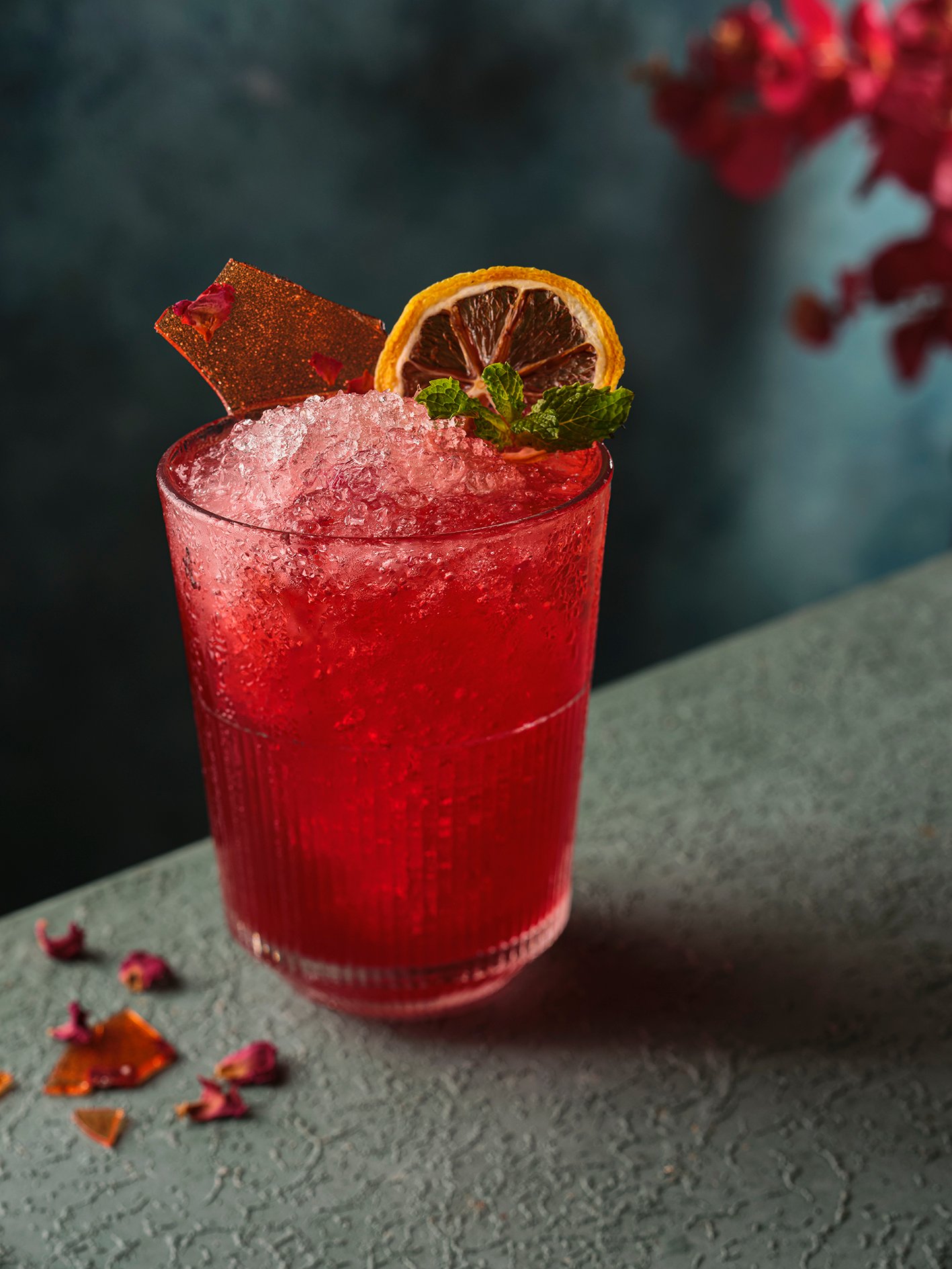 Hibiscus Rose